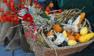 handbrot-im-herbst