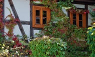 handbrotsommer